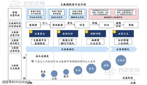 《中國商業大數據服務行業藍皮書》發布 洞見未來，數據賦能社會經濟咨詢新篇章
